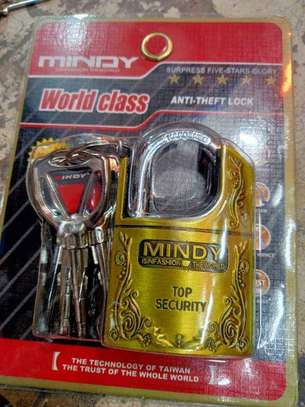 Mindy Padlock with Keys image 1