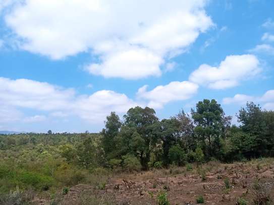 8acres for lease along Ngong Karen area image 8