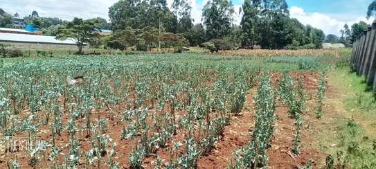 1 3/4 acres land Limuru   waiyaki way @ 100M image 5
