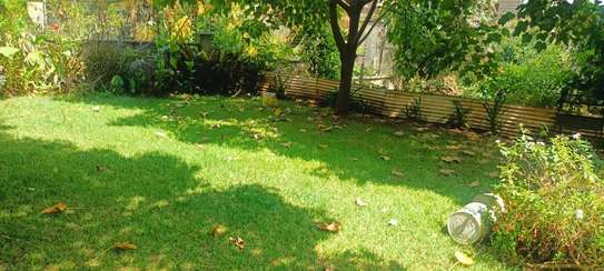 4 Bed Townhouse with En Suite in Spring Valley image 24