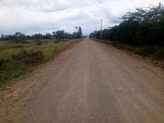 Nanyuki sweet waters image 2