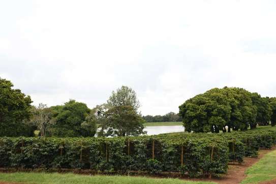 Land at Juja - Gatundu Road image 2