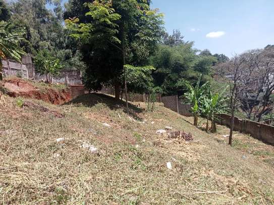 0.8 ac Land at Kitisuru image 12