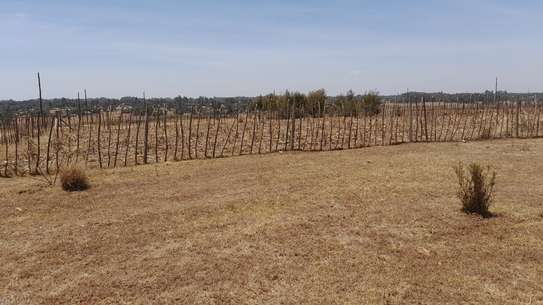 0.25 ac Land at Kipkorgot image 5