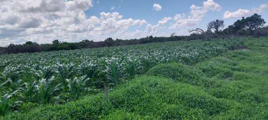 1/4 and Full Acre Plots for sale in Malindi image 1