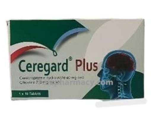 Ceregard Plus tablets 10s image 2