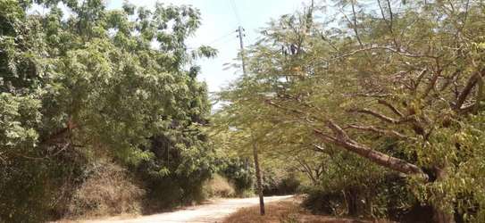 1 Acre Piece Of Land In Casuarina Road Malindi For Sale image 5