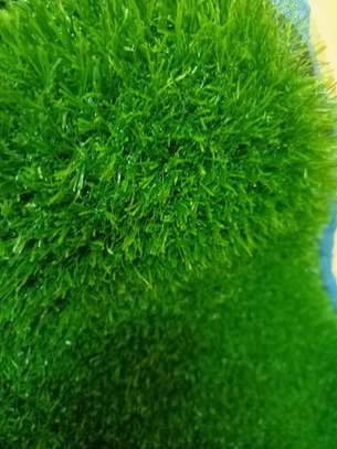 new grass carpetds$# image 1