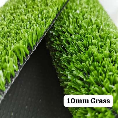 10MM GRASS PERFECT FOR YARDS image 1