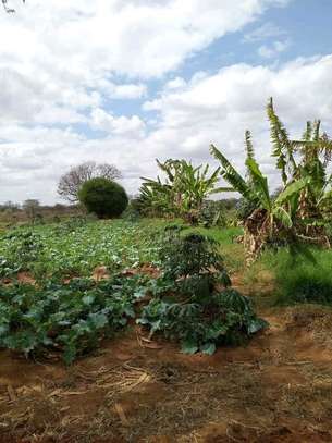 30 acres of land for sale in Makindu Makueni County image 4