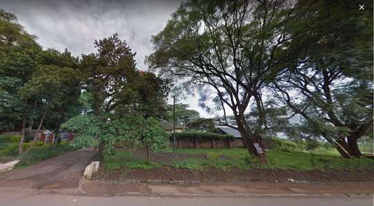 0.88 ac commercial land for sale in Lavington image 3