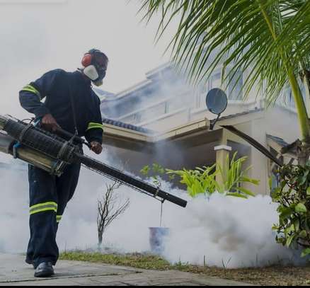 Fumigation and pest control services image 1
