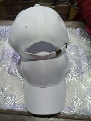 CAPS image 2