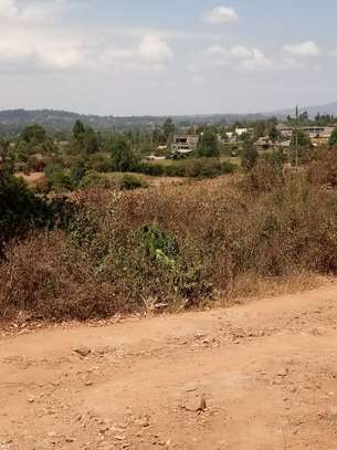 Kamangu Plot image 2