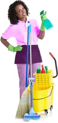 Bestcare Bureau Nairobi -Reliable Domestic Workers image 5