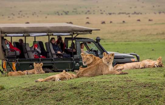 3 Days Best of Masai Mara Safari image 3