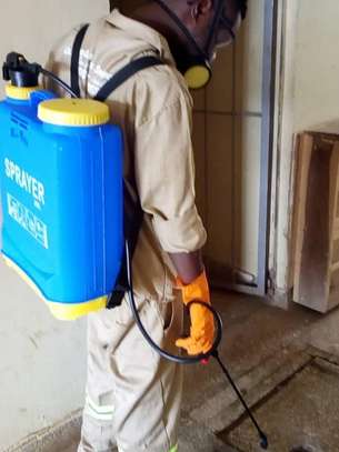 24 Hour  Fast Fumigation & Pest control - Bed Bugs & Cockroaches control | Best Office & Domestic Cleaning Nairobi.100% Service Guarantee.Get A Free Quote Now image 5