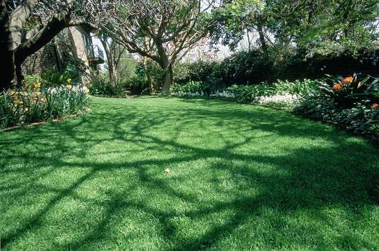 Landscaping Services in Kenya.Low Cost Garden Maintenance image 13