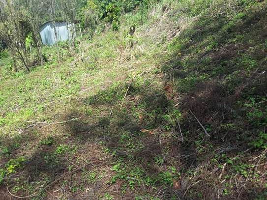 Lovely Quarter ( 1 / 4 ) Acre Land in Ngong image 8