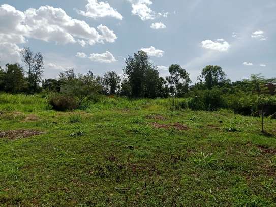 Land at Roysambu image 6