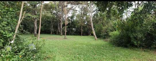 Land in Karen image 1