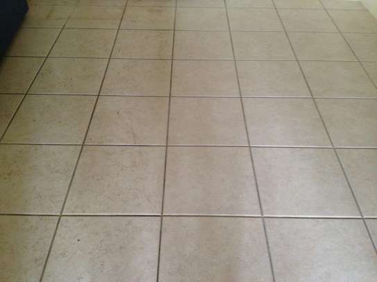 NEED PROFESSIONAL  CARPET CLEANING,TILE & GROUT CLEANING & UPHOLSTERY CLEANING? GET A FREE QUOTE TODAY. image 3