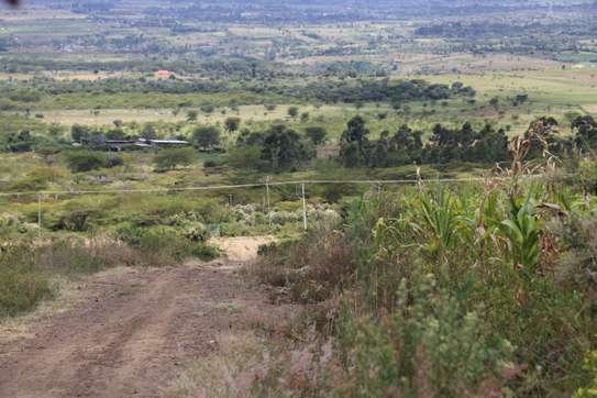 1/4 Acre Land For sale in Nakuru, Miti Mingi image 3