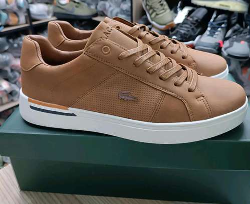 Lacoste casuals size:40-45 image 3