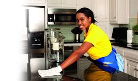 Best Domestic Workers in Nairobi Ongata Rongai Ngong image 7