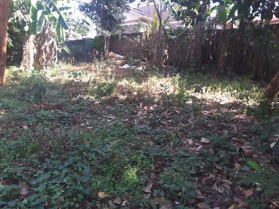 Very Spacious 6 BR House plus Sqs in Ngong image 13