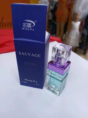 Sauvage EAU DE TOILETTE perfume for men. image 2