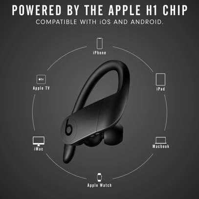 Powerbeats Pro Wireless Earbuds - Apple H1 Headphone Chip, Class 1 Bluetooth Headphones, 9 Hours of Listening Time, Sweat Resistant, Built-in Microphone image 5