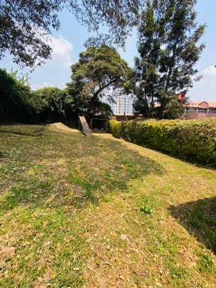 1 ac Land at Banana Raini Road image 7