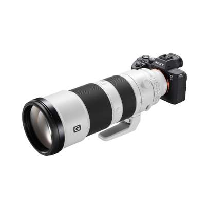 Sony 200-600 F5.6-6.3 G OSS Lens image 1
