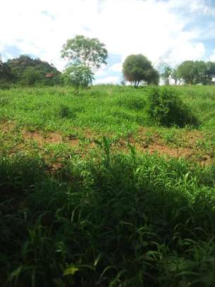 40 Acres of Agricultural Land Is For Sale In Makindu Town image 1