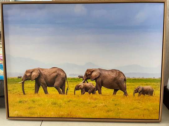 Elephant canvas painting frame image 1