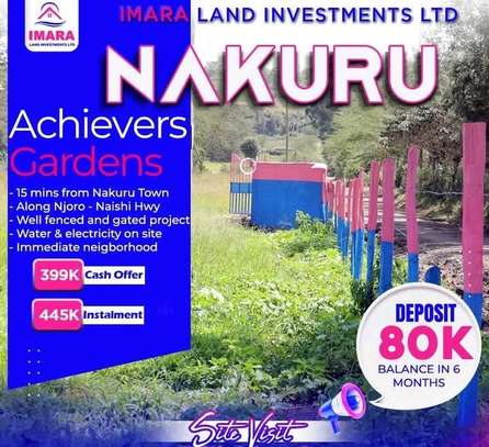 Prime plots in Nakuru image 7