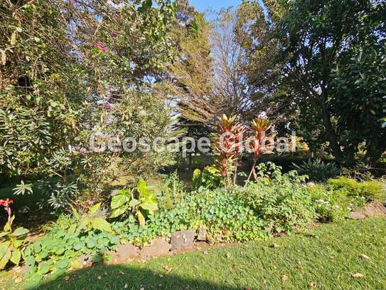 4 Bed House with En Suite in Rosslyn image 12