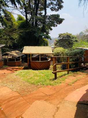 1 ac Land at Banana Raini Road image 15