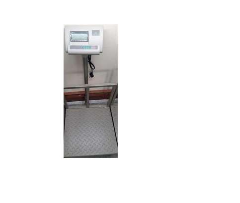 Electronic Scale Generic Government A12 Weighing 500kg image 1
