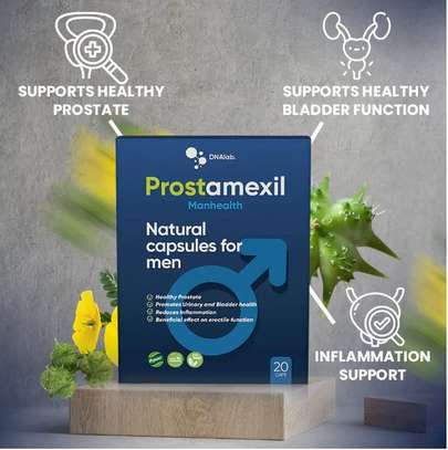 Prostamexil Improves The Work Of The Prostate image 3