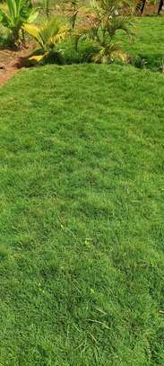 Faith's-Line Landscapers image 8