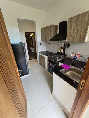 Serviced 1 Bed Apartment with En Suite at Mtambo image 14