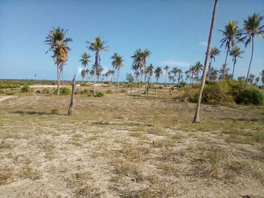50-Acre Beach Plot For Sale in Bofa/Kilifi image 4