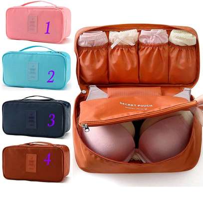Portable undergarment organizer bags image 1