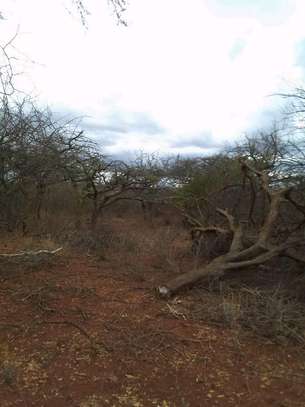50 acres near ikoyo primary school makindu makueni county image 9