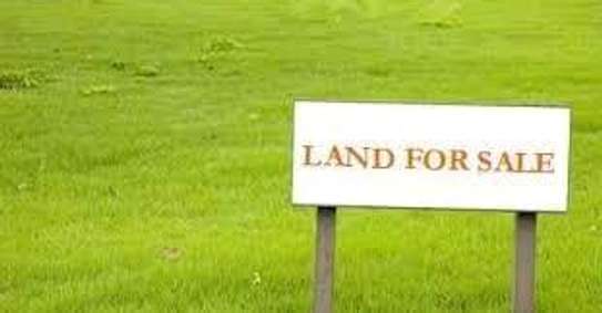 1.5 Acres Of Land For Sale at KENOL,Ideal for Petrol Station image 2