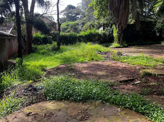 Land in Upper Hill image 26