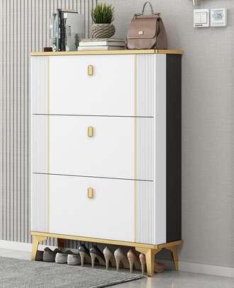 Office Cabinet : Modern Adjustable Shoe Rack Cabinet image 1