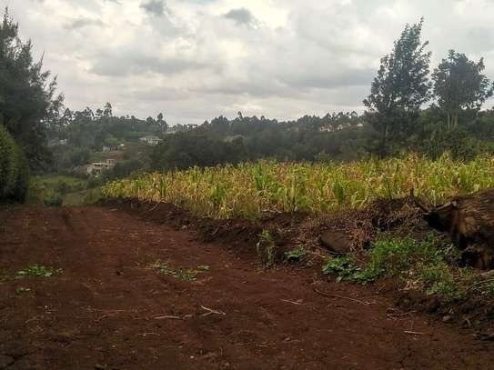 Beautiful One Eighth plots in Ngong image 2